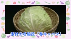 TAKAOKA名産地「春キャベツ」