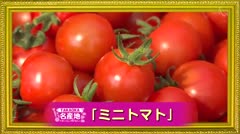 TAKAOKA名産地「ミニトマト」