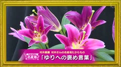 TAKAOKA名産地「ゆり」