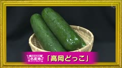 TAKAOKA名産地「高岡どっこ」