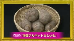 TAKAOKA名産地「アルギットさといも」