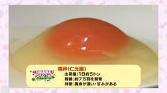 TAKAOKA名産地「鶏卵」