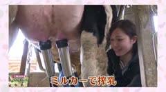 TAKAOKA名産地「牛乳」