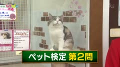 高岡しっとる検定#13 ペット検定