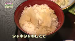 TAKAOKA名産地 「西田のタケノコ」