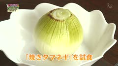 TAKAOKA名産地「タマネギ」