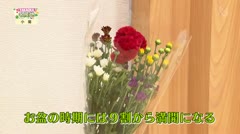 TAKAOKA名産地「小菊」