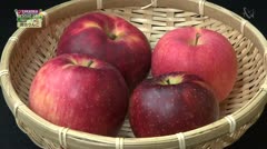 TAKAOKA名産地「リンゴ」