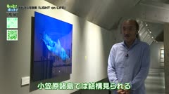 もっと！ホット！高岡
