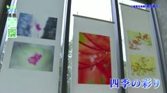 もっと！ホット！高岡